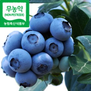 [특상품] 무농약 블루베리생과 2kg