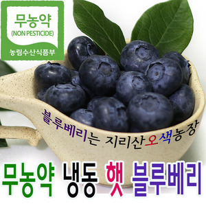 [특과] 국산 무농약 냉동 블루베리 1kg